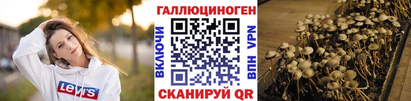 Галлюциногенные грибы мицелий  Питкяранта 