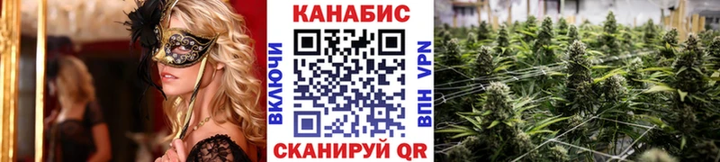 Конопля THC 21%  Питкяранта 